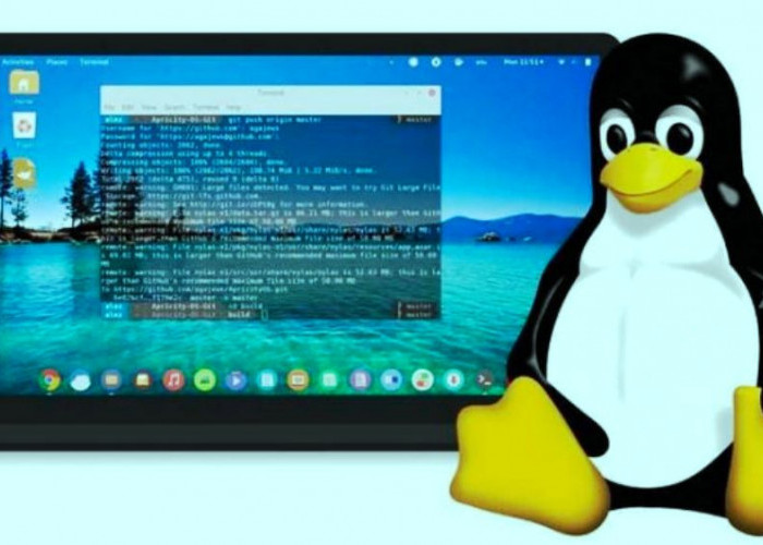 Canggih, OS Linux Sekarang Bisa Dijalankan dari Google Drive
