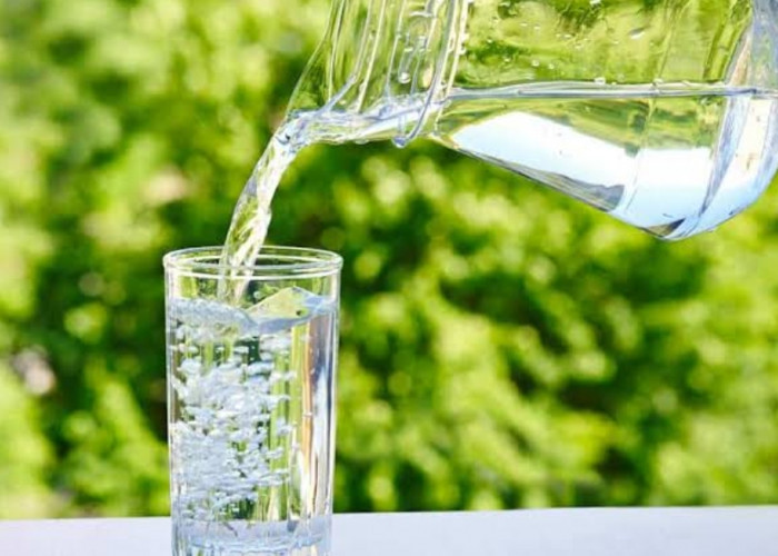 Peran Penting Minum Cukup Air saat Bekerja atau Belajar