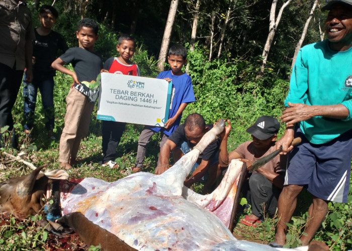 Rayakan Idul adha 1446H, PLN Salurkan Daging Kurban di Berbagai Daerah