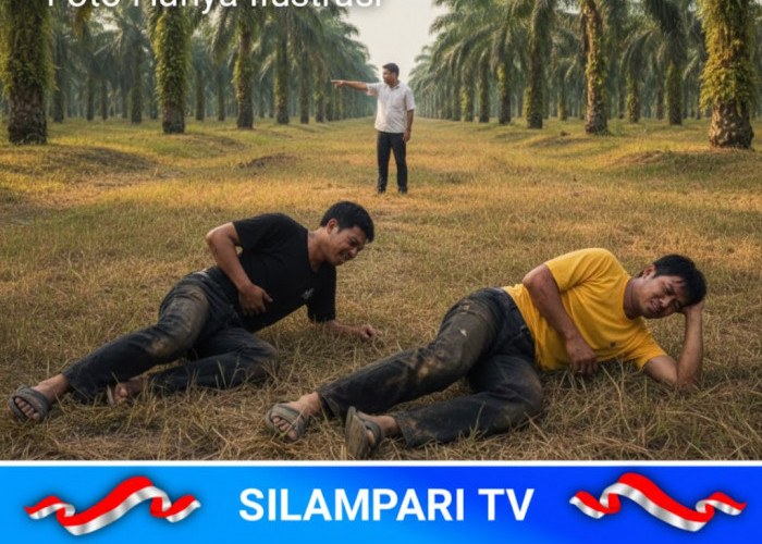 Dua Warga Lubuk Tua Terluka Ditembak Orang Misterius di Kebun Sawit Musi Rawas