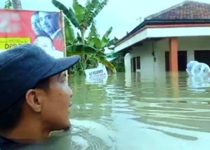 Air Menggenang, Harapan Menyembul: Kisah Kebangkitan Demak Pasca Banjir Besar