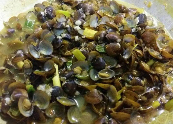  Resep Memasak Remis Kerang Air Tawar yang Lezat dan Nikmat