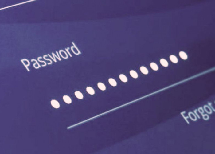Akses ke Server PDN Kebocoran Pakai Password Admin#1234