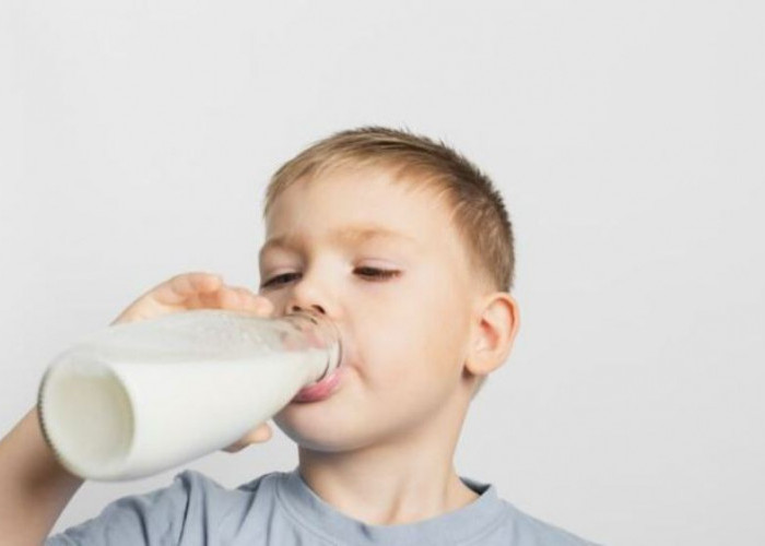 Bingung Anak Susah Makan? Berikut Rekomendasi Susu untuk Meningkatkan Nafsu Makan