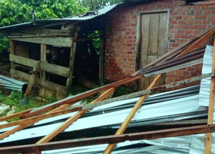 Bencana Angin Puting Beliung di Musi Rawas, Rumah Milik Miskidi Rusak Parah