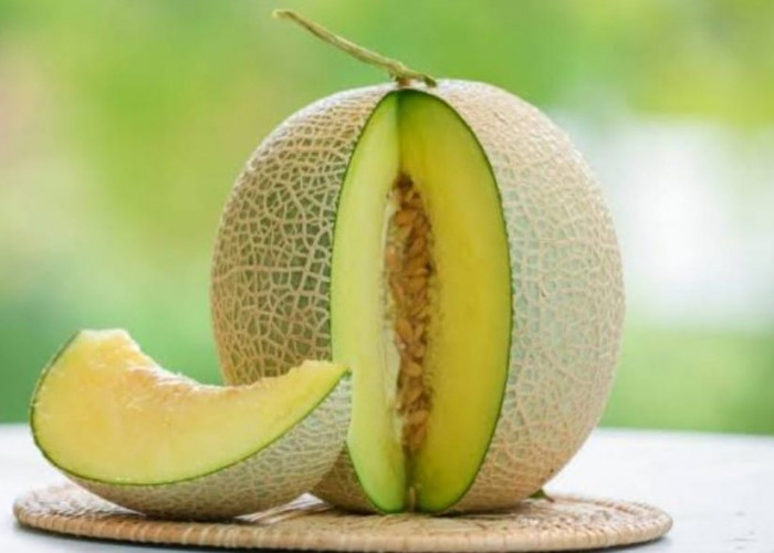 Kekayaan Nutrisi Yang Terkandung Pada Buah Melon untuk Kesehatan