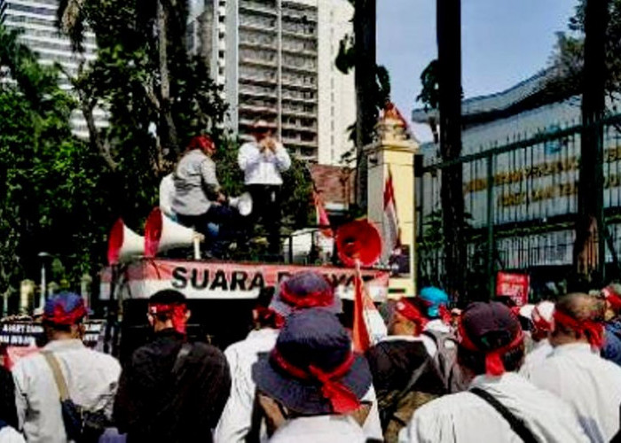 Penting! SK Ribuan CPNS Dosen PTN Sudah Mulai Diterbitkan oleh Kemendikbudristek