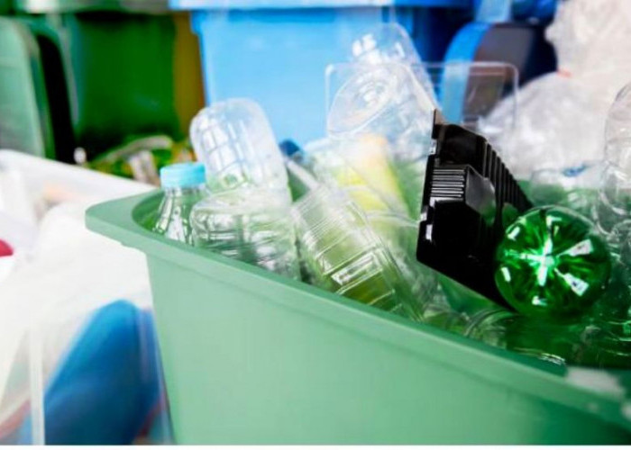 Siapa Bilang Sampah Plastik Tak Bisa Berguna? Ini 5 Kerajinan Tangan yang Dapat Dibuat dari Limbah