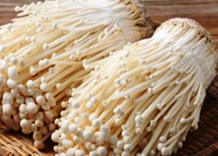 Manfaat Jamur Enoki: Superfood Lezat yang Ampuh Turunkan Gula Darah dan Kolesterol