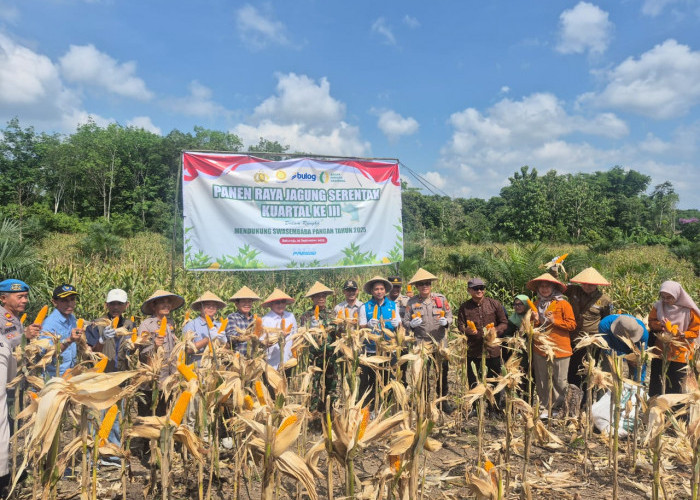 PLN Sukses Amankan Pasokan Listrik pada Panen Raya Jagung Serentak Bersama Kapolri di Sumatera Selatan
