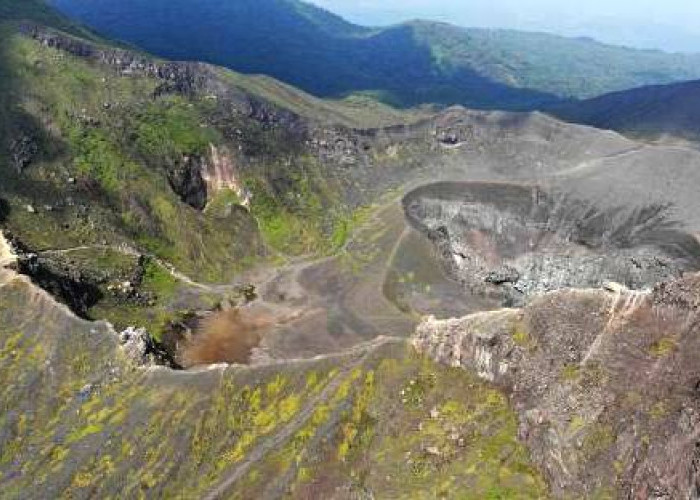 BKSDA Bengkulu Umumkan Penutupan Sementara Jalur Pendakian Bukit Kaba Demi Pemulihan Habitat Alam