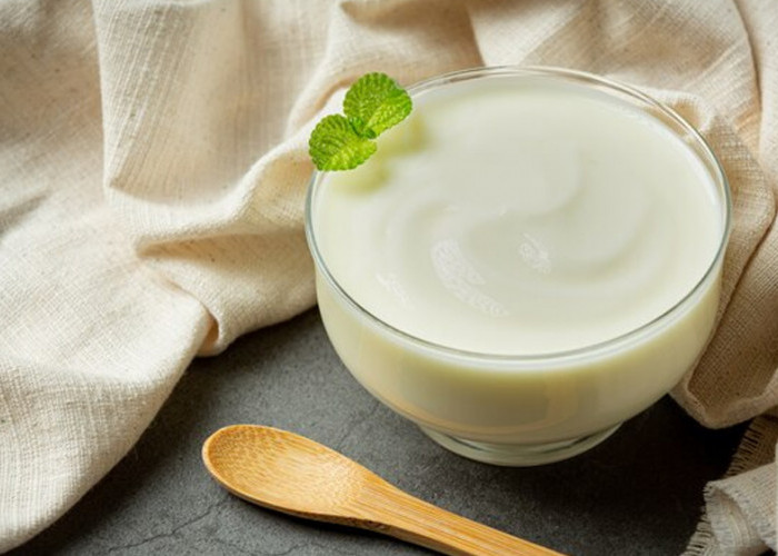 Mengungkap Manfaat Luar Biasa Yogurt untuk Kesehatan Anda