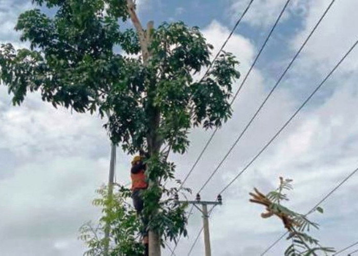 Tim K3 PLN UID S2JB Bersama UP3 Berikan Edukasi Keselamatan Kelistrikan Tanpa Harus Rasakan Bahayanya