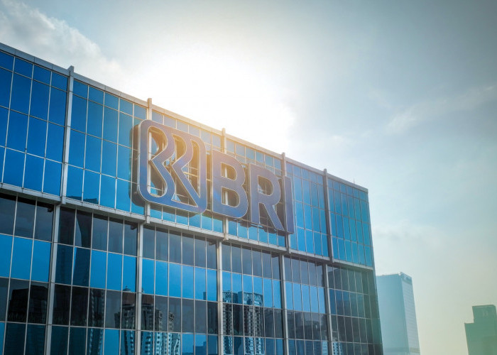PPATK Blokir Rekening Pasif, BRI Buka Suara