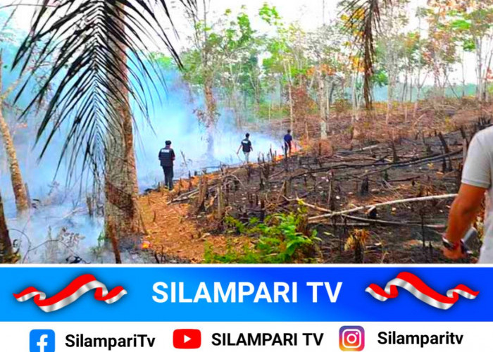 Buka Kebun Sawit dengan Membakar Lahan, Petani Lubuklinggau Jadi Tersangka