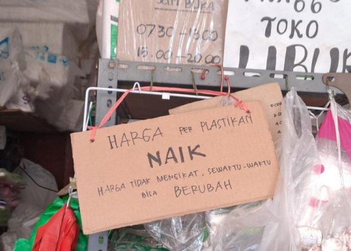 Harga Plastik Melonjak, Ini Penyebab dan Dampaknya bagi Industri dan Konsumen