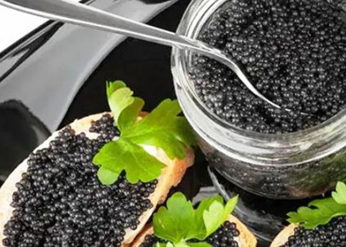 6 Fakta Unik, Kenapa Caviar Bisa Menjadi Telur Ikan Termahal Didunia? Yuk Kepoin!