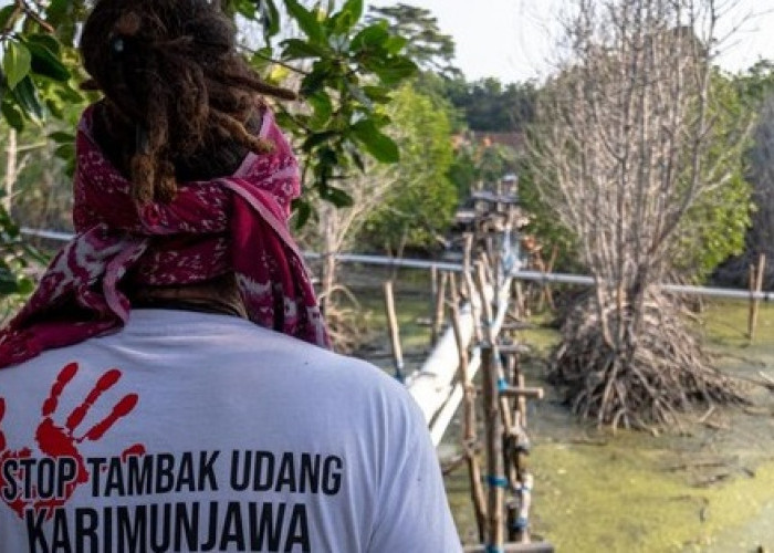 Taman Nasional Karimunjawa Tercemar Limbah Tambak Udang, 4 Orang Ditetapkan Menjadi Tersangka