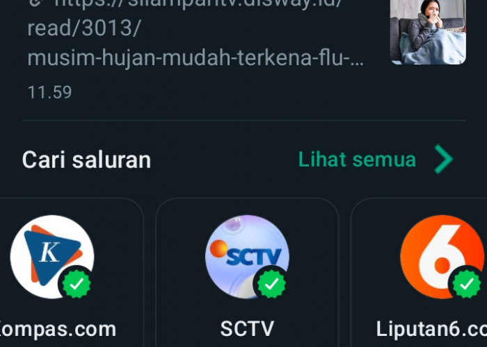 Cara Membuat Saluran di Whatsapp, Dapatkan Informasi Update dan Paling Populer