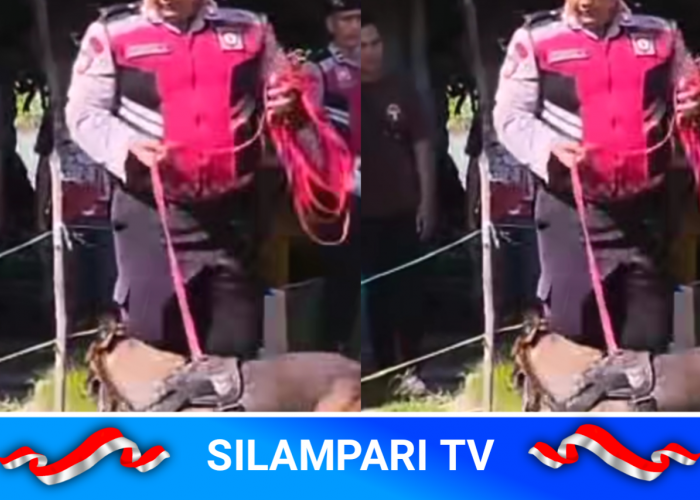 Polisi Intensif Buru Pelaku Perampokan 12 Suku Emas di Ogan Ilir, Warga Diminta Tingkatkan Kewaspadaan