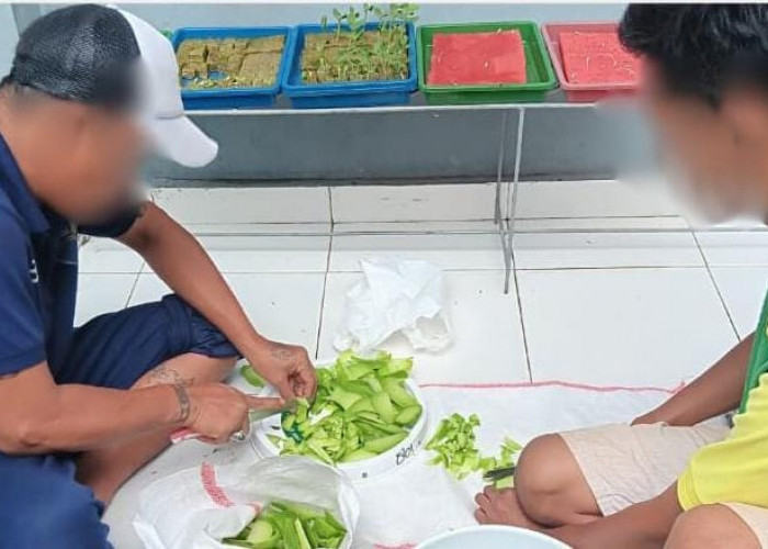 Pembinaan Kemandirian Berbasis Lingkungan, Lapas Narkotika Muara Beliti Olah Limbah Jadi Pupuk Kompos
