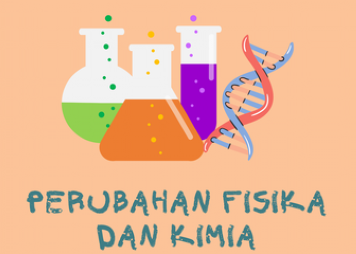 Mengenal Perubahan Fisika dan Kimia dalam Proses Makan: Pembelajaran Seru dari IPA Kelas 7 Kurikulum Merdeka