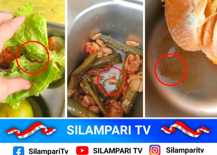 Viral! Cacing dan Ulat Ditemukan di Menu MBG Musi Rawas, Dua Desa Tolak Distribusi