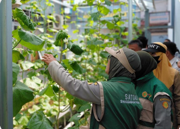 Perkuat Program Ketahanan Pangan, Badan Penyuluh Pertanian Kunjungi Lapas Narkotika Muara Beliti