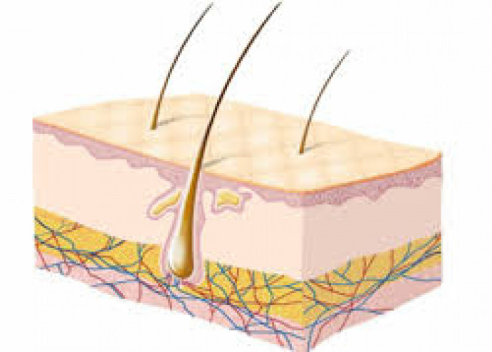 Mengenal Aquaporin yang Baik untuk Skincare, Ini Manfaatnya