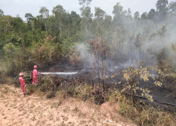 Bersama Perangi Asap, Pertamina EP Ramba Field Bantu Warga Padamkan Karhutla di Sekitar Wilayah Operasi
