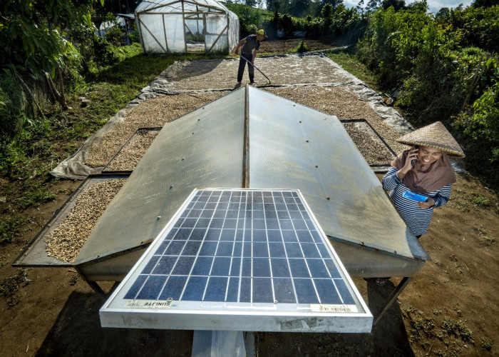 Wujudkan Komitmen Sebagai World-Class Sustainable Banking Group, BRI Perkuat Kontribusi terhadap SDGs