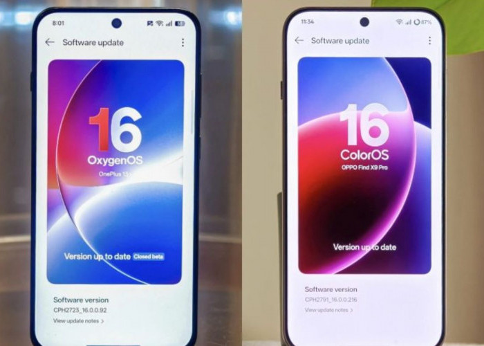 OPPO Dikabarkan Satukan OnePlus dan Realme, OxygenOS Terancam Tinggal Sejarah