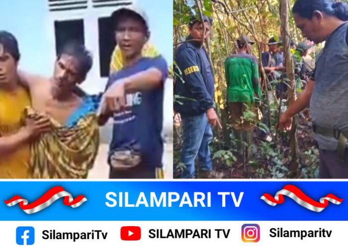 Jejak Cakaran Beruang Ditemukan Polisi di TKP Serangan terhadap Petani Musi Rawas