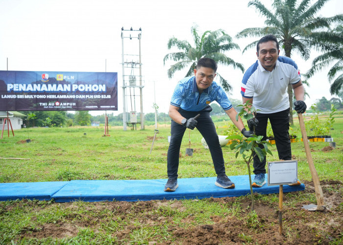 Pelestarian Lingkungan, PLN UID S2JB dan TNI AU Lanud Sri Mulyono Herlambang Tanam Pohon dan Tebar Bibit Ikan