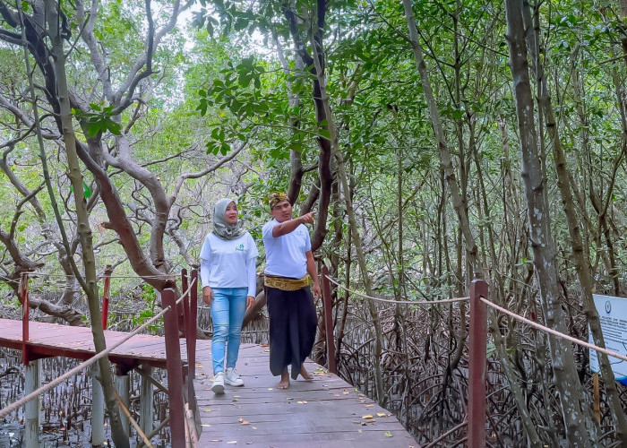 Ekowisata Hutan Mangrove Purba Jerowaru Lombok Timur Kerek Ekonomi Masyarakat, Bak Oase di Padang Gurun 