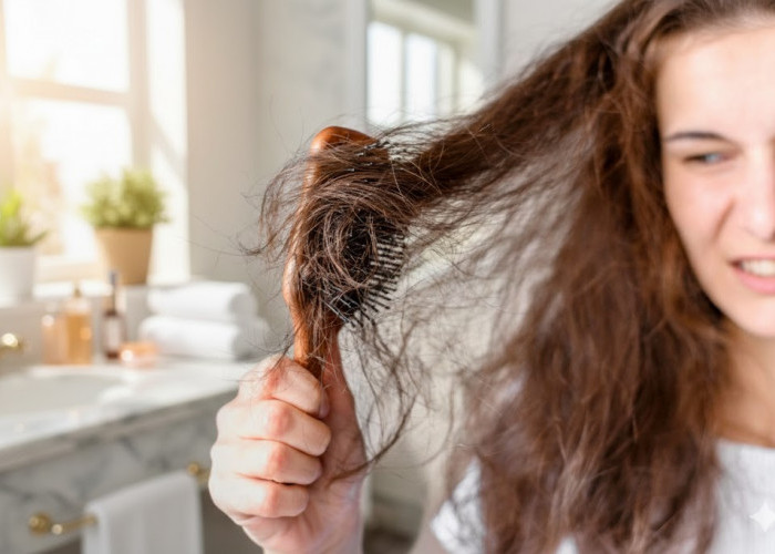 Jangan Asal Cat Rambut! Ini Cara Aman agar Rambut Tetap Sehat