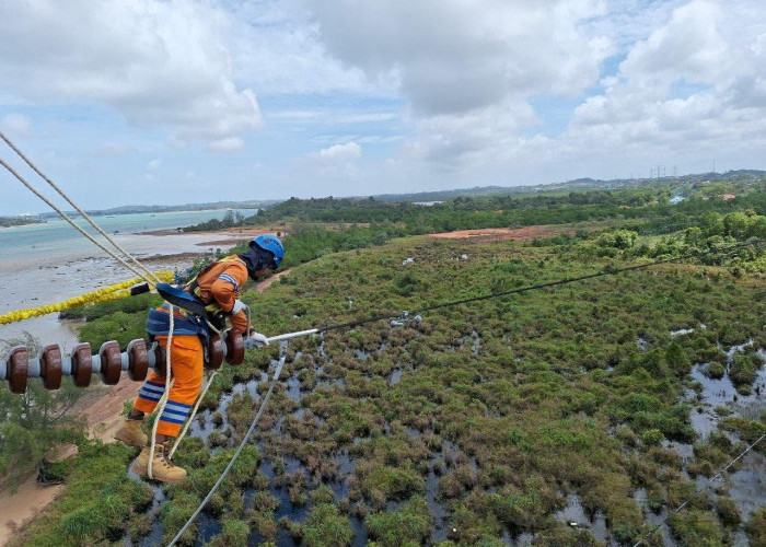 Wujud Kontribusi ke Negara, PLN Setor Rp65,59 Triliun Lewat Dividen, Pajak, dan PNBP