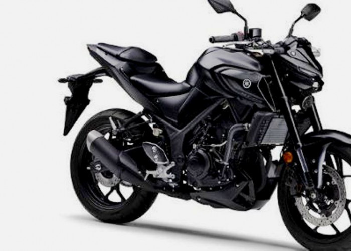 Yamaha MT-25 2025 Resmi Meluncur, Harga Rp68 Jutaan