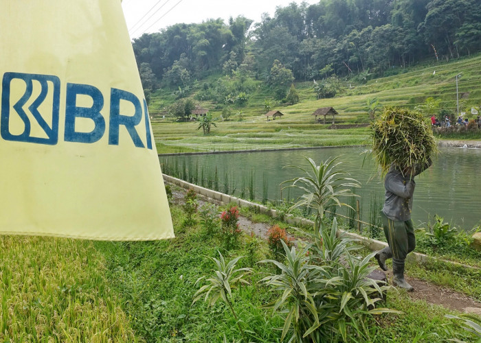 Ini 5 Komitmen Nyata BRI Dorong Peningkatan Kualitas Dan Daya Saing UMKM