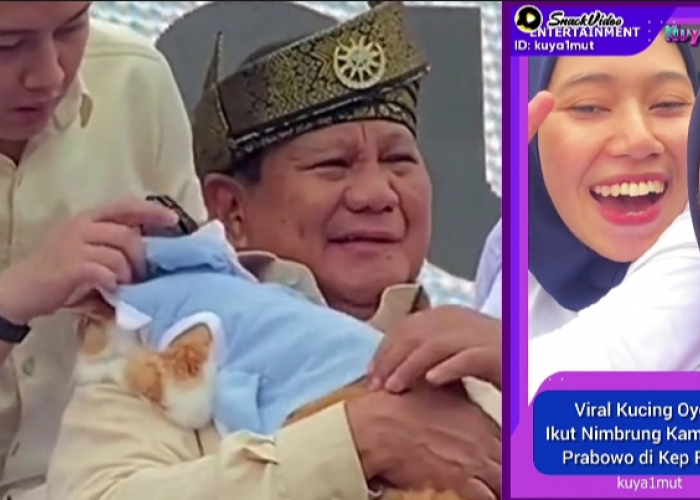 Momen Unik Prabowo Subianto Capres Nomor Urut 2 Gendong Kucing, Pemilik tak Berhenti Tersenyum
