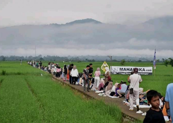 Nikmati Sarapan Istimewa di Tepi Sawah Musi Rawas dengan Latar Perbukitan Hijau