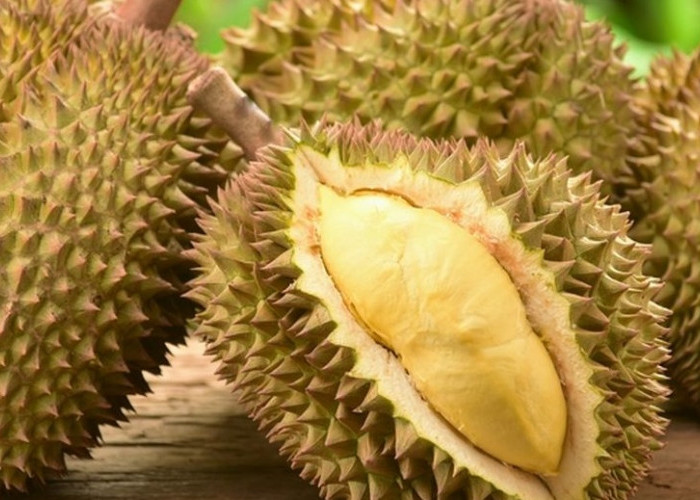 Bukan Hanya Enak, Ini 6 Manfaat Buah Durian Bagi Kesehatan