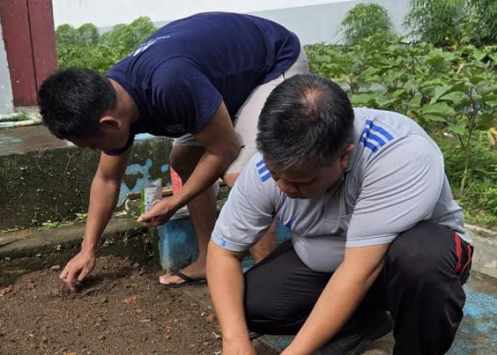 Hijaukan Lahan Pembinaan, Lapas Narkotika Muara Beliti Lakukan Penanaman Bibit Jagung