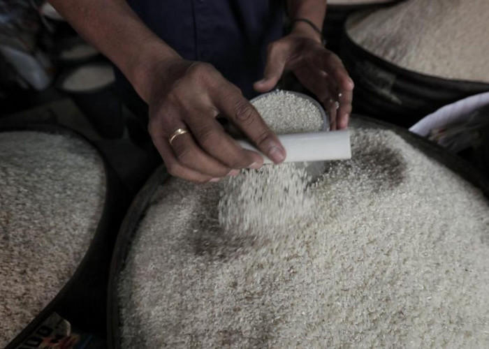 Bulog Siap Bangun 100 Gudang Modern, Anggaran Rp5 Triliun Disetujui Pemerintah