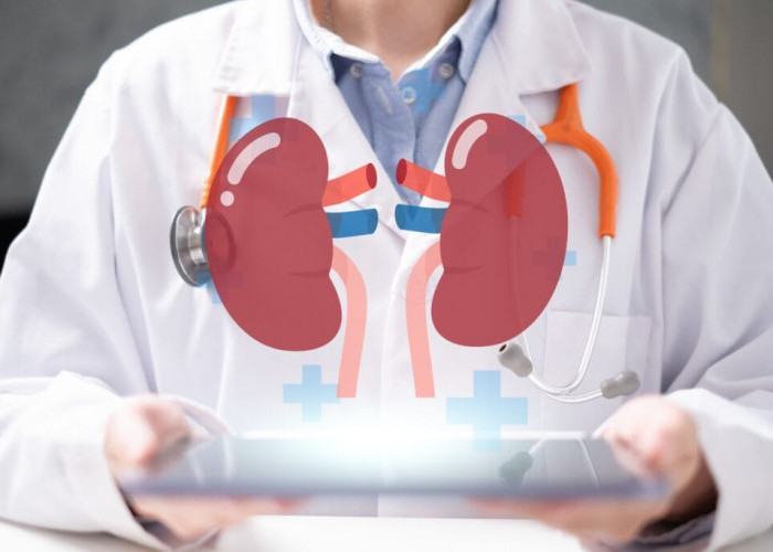 Gaya Hidup Modern Picu Gangguan Ginjal, Generasi Muda Diminta Lebih Waspada