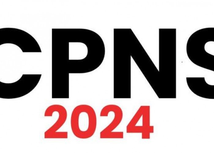 Menanti SK dan SPMT: Kapan CPNS 2024 Mulai Tugas?