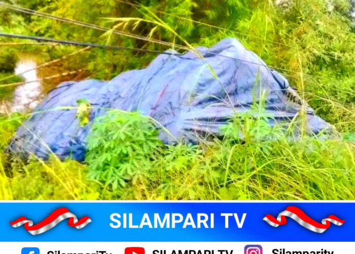 Truk Pengangkut Barang Keluar Jalur dan Nyungsep ke Sungai di Tuah Negeri