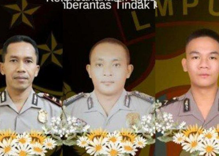 Kronologi Tiga Polisi Gugur Saat Gerebek Arena Judi Sabung Ayam di Lampung