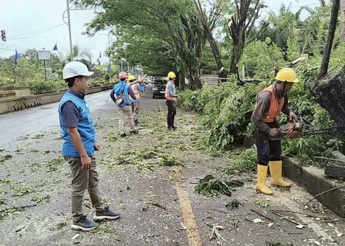 Hari Kesaktian Pancasila, PLN UP3 Lubuklinggau Bersihkan Jalur Listrik di Jalinsum Kota Lubuklinggau
