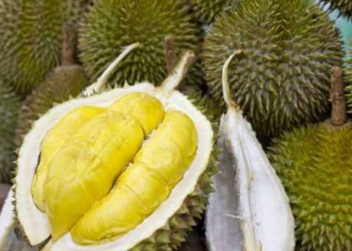 Pahami Larangan Mengonsumsi Makanan dan Minuman Setelah Menikmati Durian